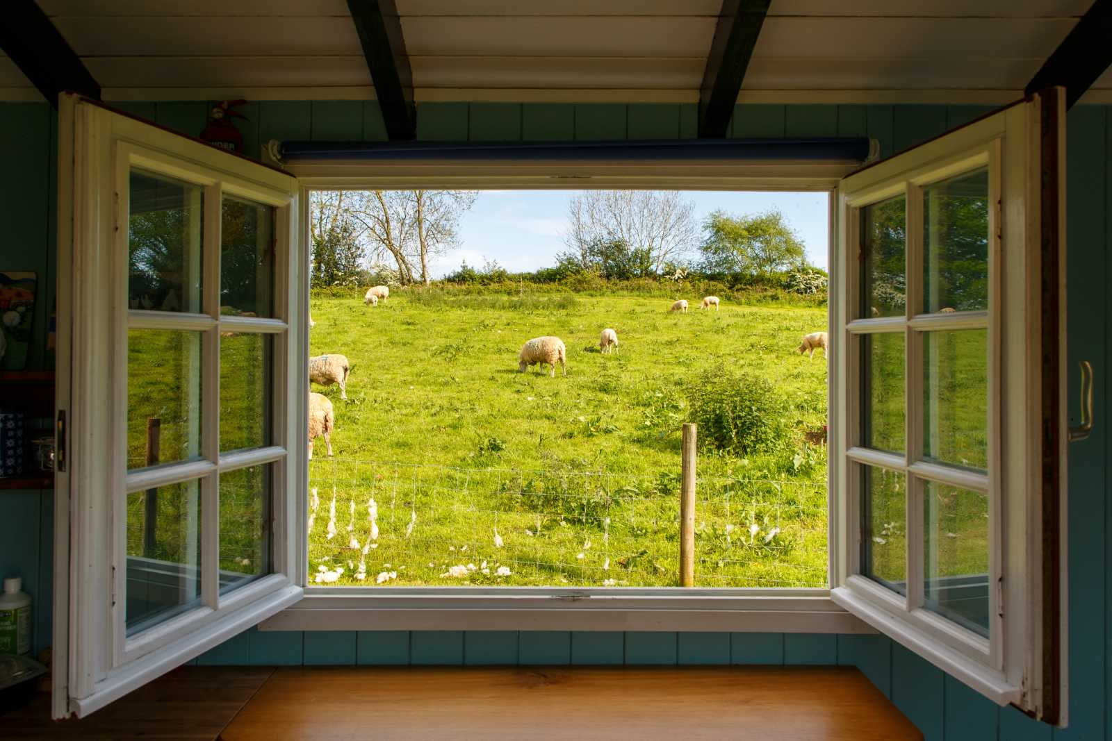 ein offenes Fenster mit Ausblick auf Grünfläche